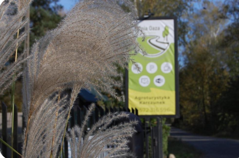 Villa Letnia Oaza "Forsycja" Sobienie Jeziory Esterno foto